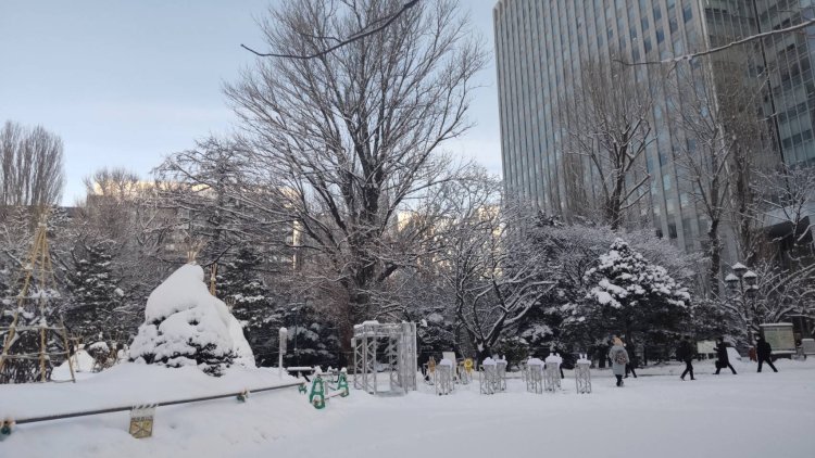 早朝の銀世界で静寂を独り占めしたい。