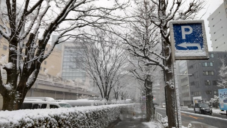 首都圏で降る雪は、水分が多く路面状況が悪くなりやすい。