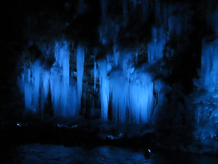 ひときわ幻想的な夕方17時からのライトアップ。