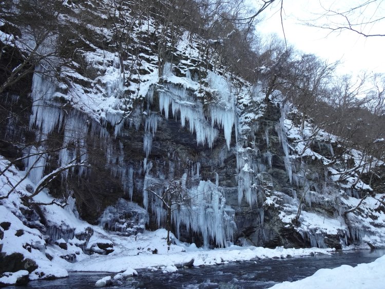 天然より規模が大きく、迫力がある。