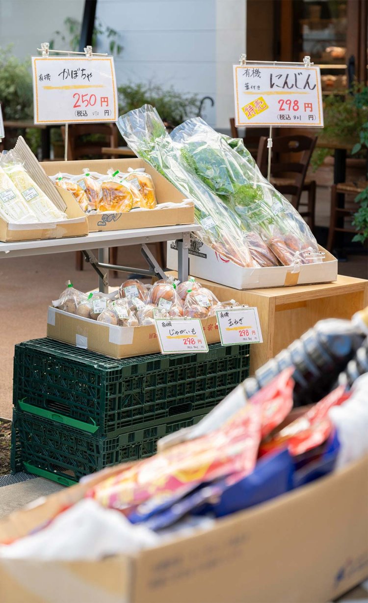 【散歩の達人】シモキタさんぽ