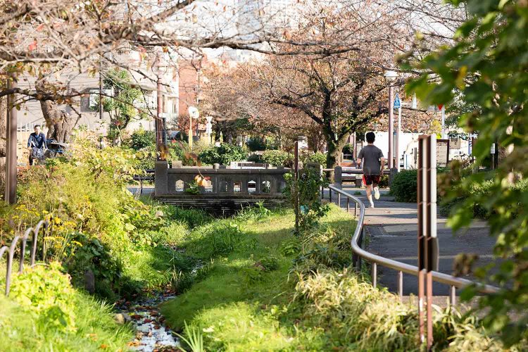 目黒川の支流が暗渠（あんきょ）化し整備されている北沢川緑道。