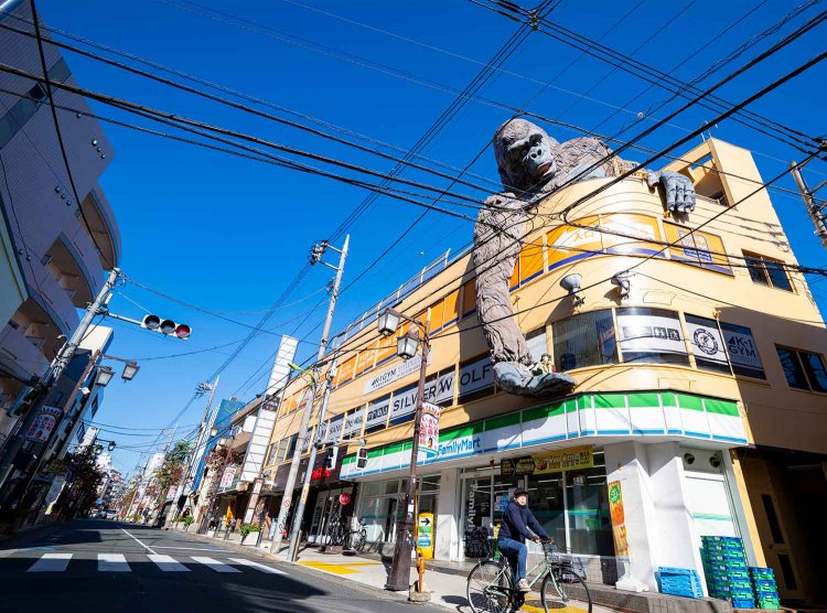 茶沢通りのランドマーク、ゴリラビル。地元民が「ゴリ地下」と呼ぶ地下は、ディープな世界。