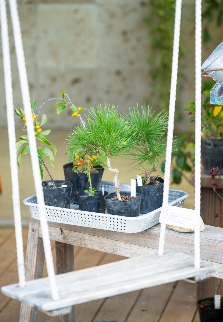 【散歩の達人】サンチャさんぽ