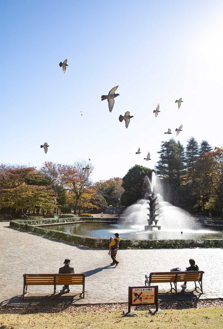 大きな噴水に心洗われる世田谷公園。