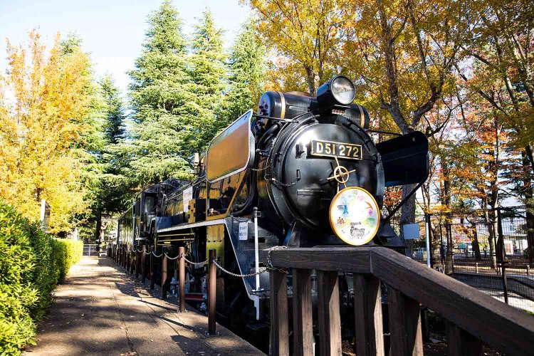 子供も大人も楽しめる世田谷公園ミニSL。