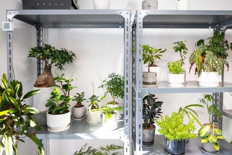 【散歩の達人】イケジリさんぽ