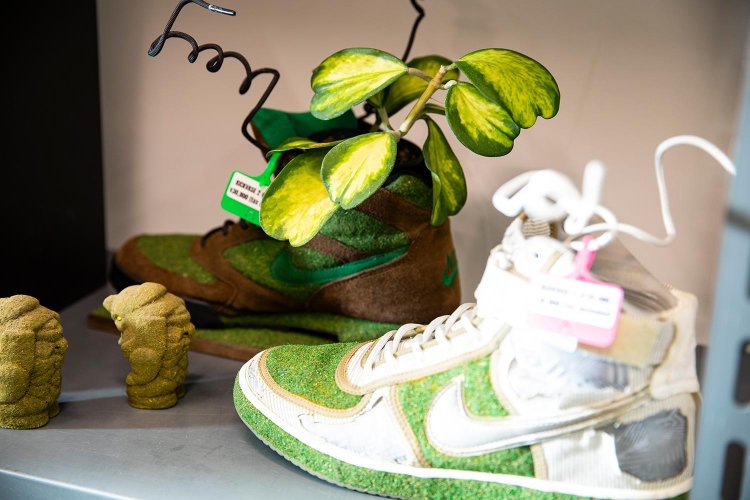 【散歩の達人】イケジリさんぽ