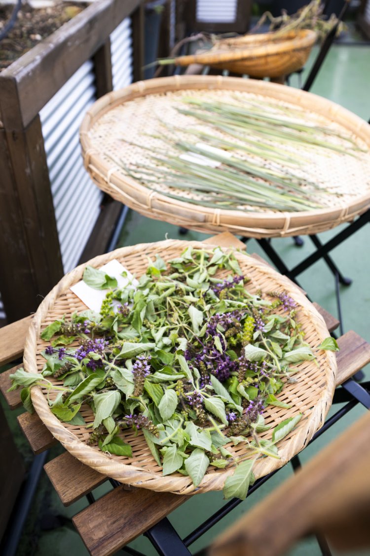 一部の野菜やハーブは屋上で自家栽培。