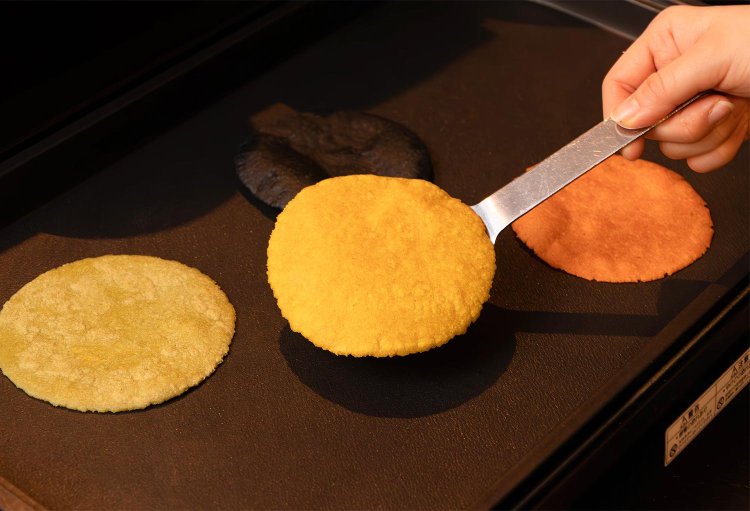 野菜入りのトルティーヤ。