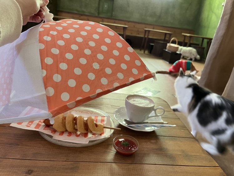 無料で貸し出してくれるフードカバー。