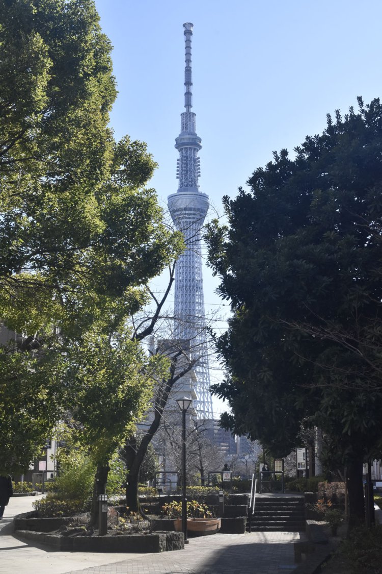 山谷堀公園から見たスカイツリー。