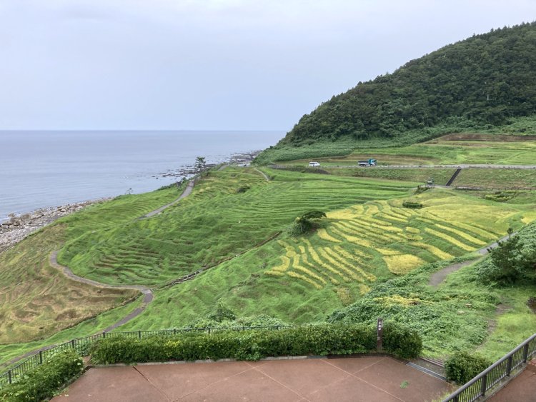 輪島市白米町にある白米千枚田は国指定文化財名勝でもある（2024年8月撮影）。