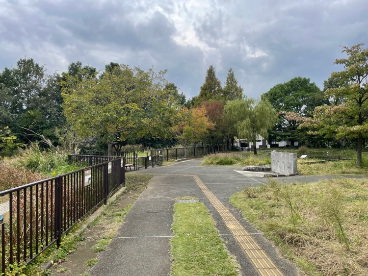 桑袋ビオトープ公園。