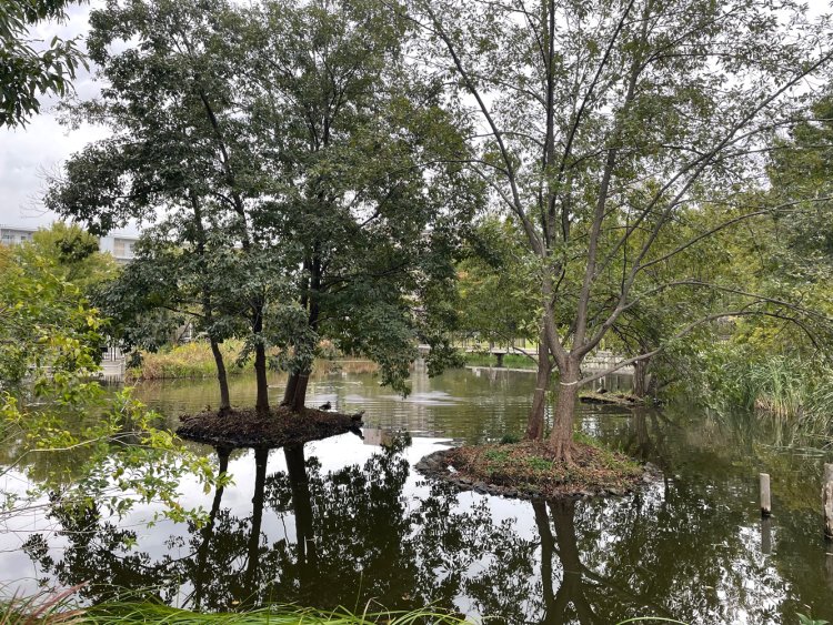 サンクチュアリから見たうき島。