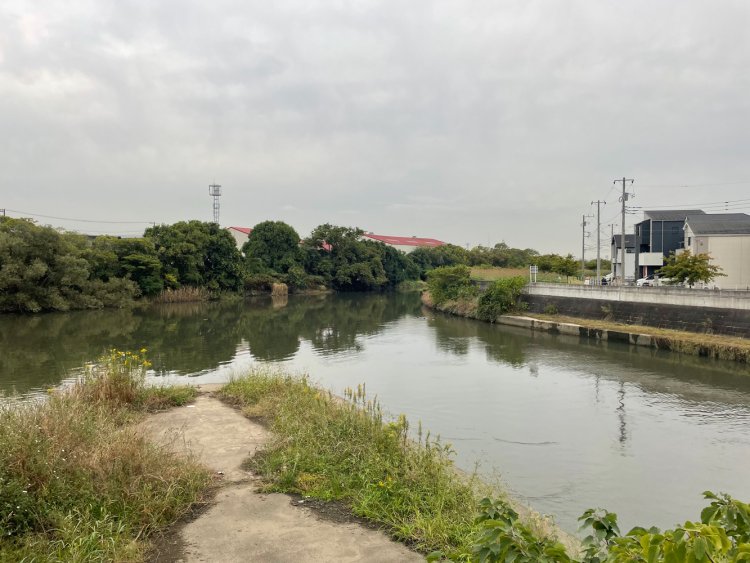 伝右川排水機場の水門側から見た合流地点（別日に撮影）。