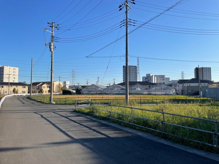 ビニールハウスとマンションと戸建住宅。