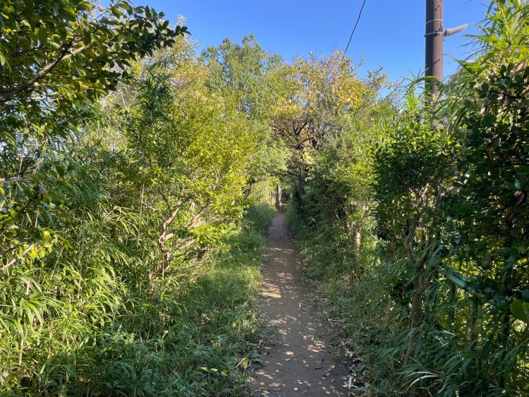 探検の気分だ。