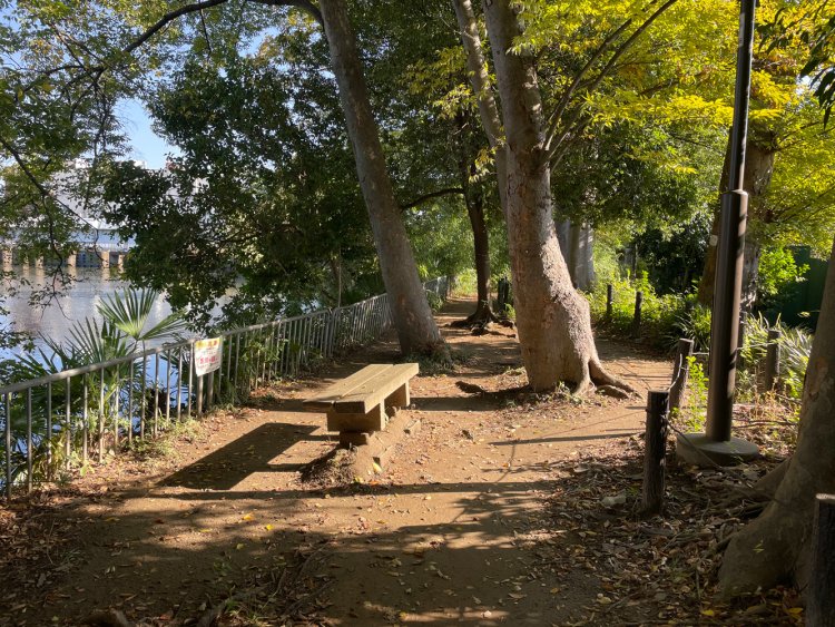 ベンチに腰掛けて垳川を眺めることもできる。