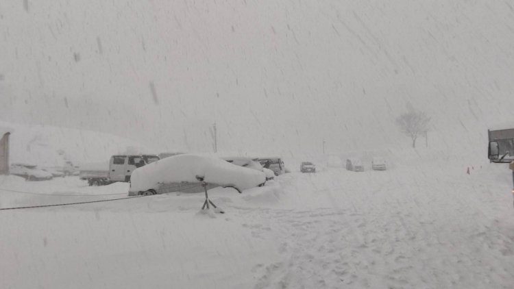 吹雪になると一気に視界が真っ白になる。