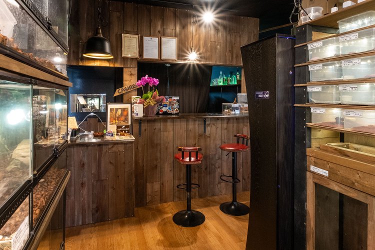 照明を抑えた店内にはカフェバー風のカウンター席もある。