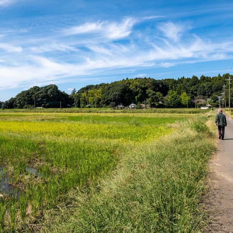 写真のさらに右側にお釈迦様の胴や足が続いている。