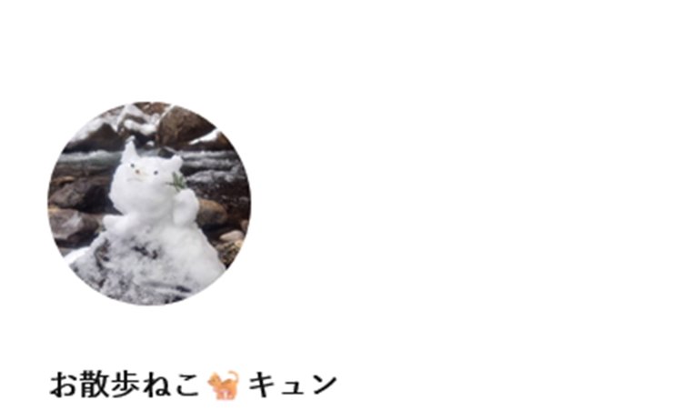 多種多様な「私の散歩術」を紹介してくれました。