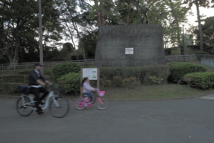 人通りは多いのだが地元の方が多いと見え、短時間の観察だったとはいえ、誰も橋脚に注目する人はいなかった。