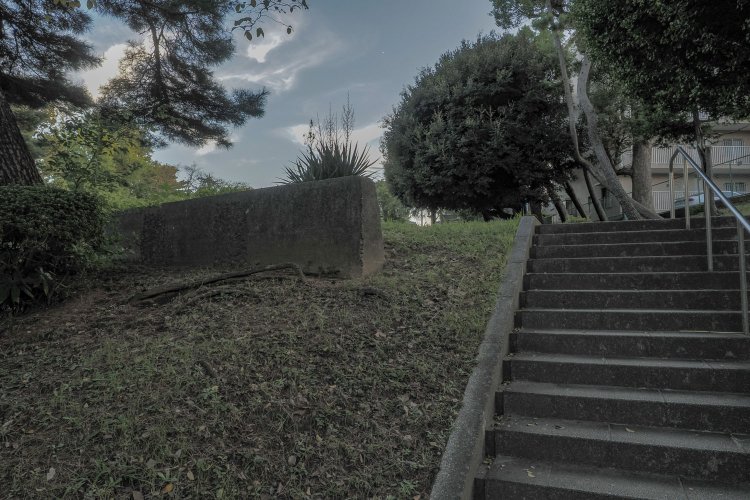 橋脚の後ろ側にもコンクリートの構造物が地中から露出していた。長さから橋台のように思える。