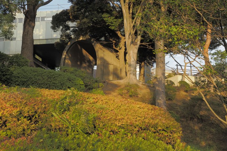 公園内からでもトンネルを仰ぎ見ることができる。夕日に染まり、木々に囲まれて余生を過ごしていた。