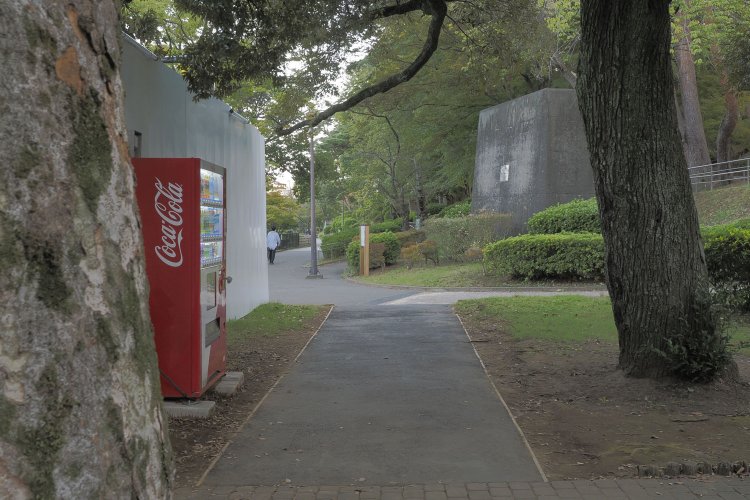 散策道の脇からチラッと望む。橋脚の存在感はじゅうぶんあった。