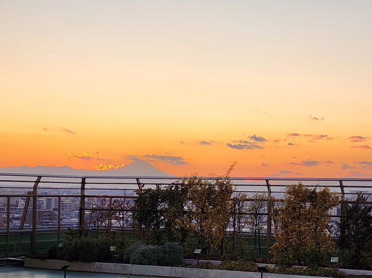 帰りに立ち寄った西庁舎10階のハーブテラスから夕焼けをバックにした富士山が見えた。