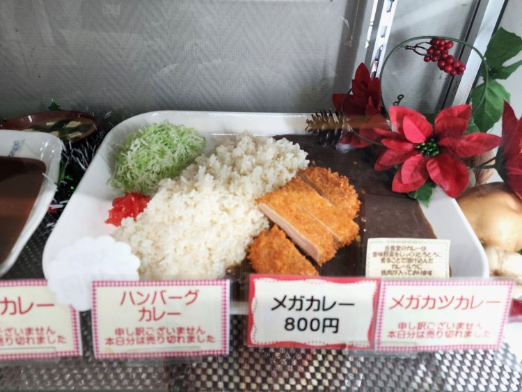 メガカレー800円。写真だとわかりづらいが、この皿は料理を運ぶトレーとほぼ同じ大きさだ。メガカツカレーは980円。