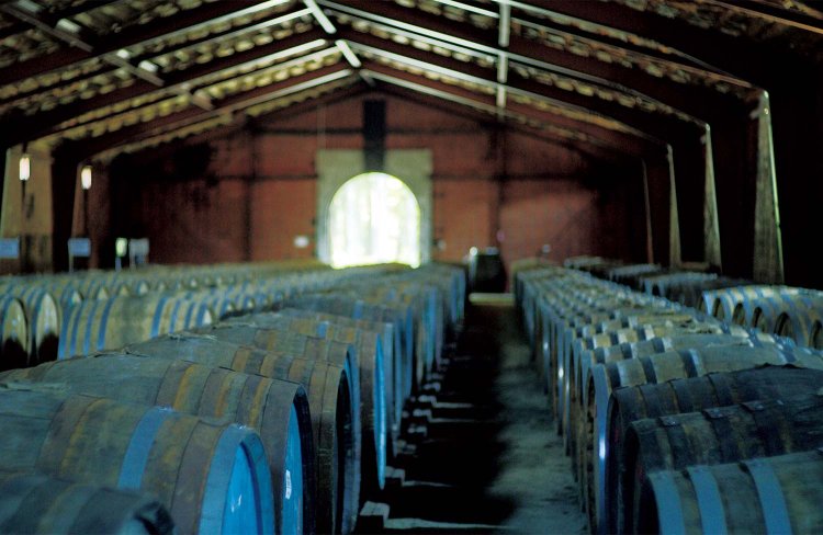 写真＝宮城県観光戦略課。