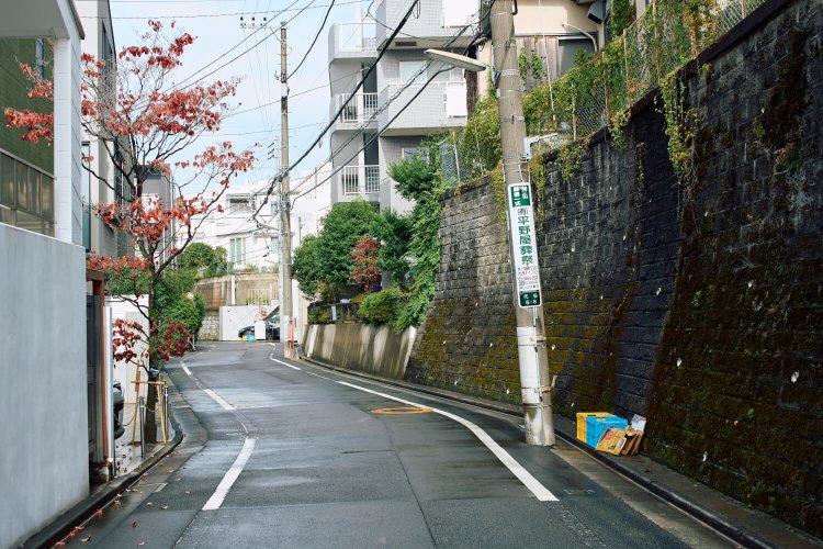 下北沢の暗渠を歩く。埋まっているのは線路だけじゃない