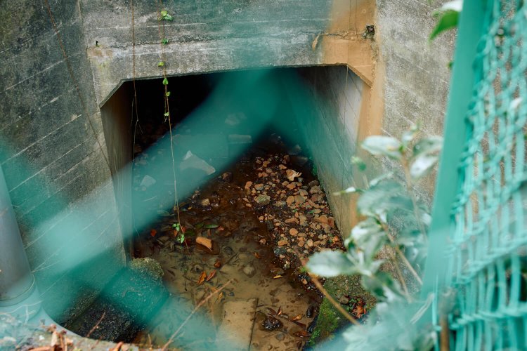 〈P〉金網越しに小川の水面が見える。これぞ当エリア唯一の「暗渠ANGLE」レベル1スポット。