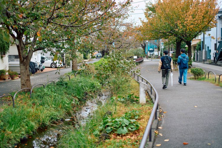 〈R〉「暗渠ANGLE」レベル4の北沢川緑道。水面は暗渠の上に作られ、高度処理水が流されている。