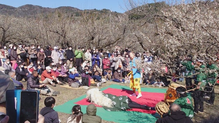 小田原に古くから伝わる寿獅子舞。「ストーリー性があって面白いですよ」と臼井さん。