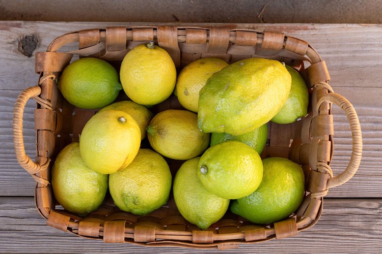 テット―で実ったレモンも販売。