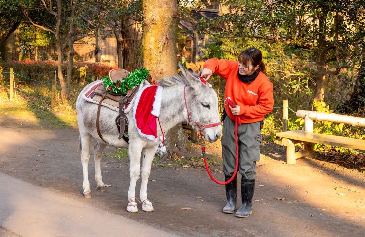 「今日も園内をお散歩しようね～」。