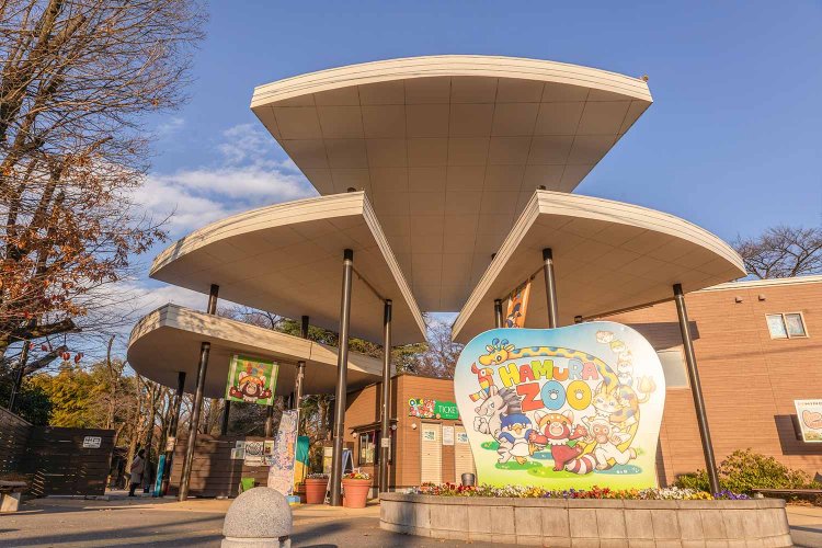 入り口のユニークな屋根は“羽ばたき”をイメージ。
