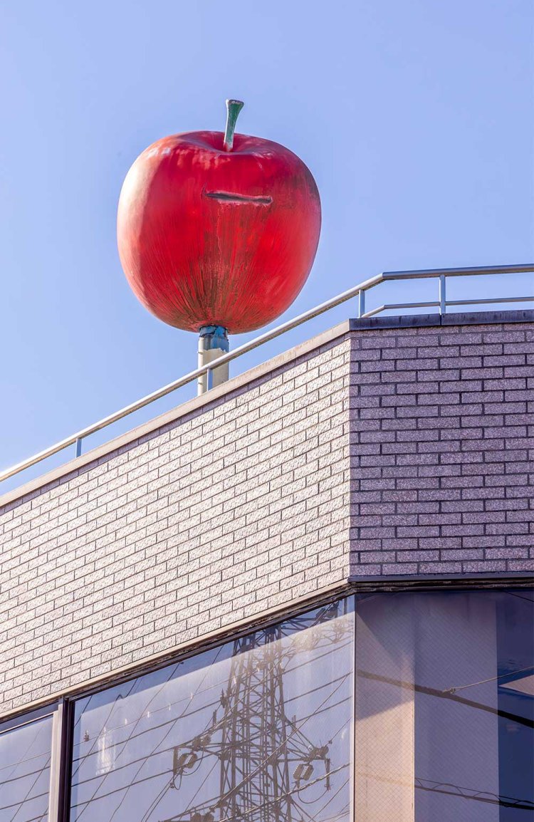 歯科医院の建物の上には、大きなリンゴが！