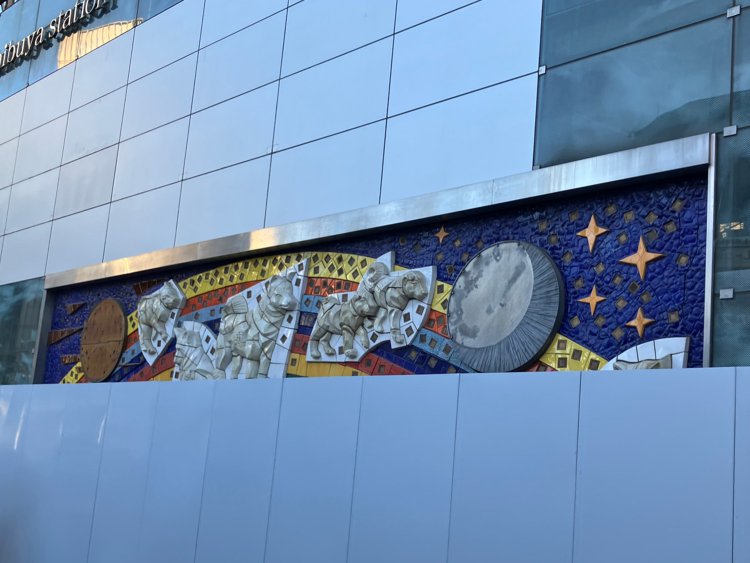 上の写真の3日後の1月30日朝には、すでに覆いが出来て見られないようになっていた。