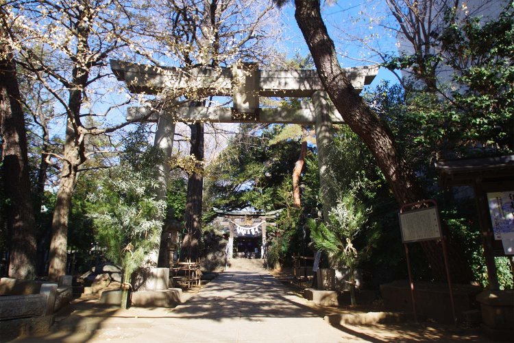 お兄さんのおススメのひとつ、椎名町駅のすぐ近くにある長崎神社。夏のお祭りにはお神輿が出て、通れないくらいのにぎわいになるそう。