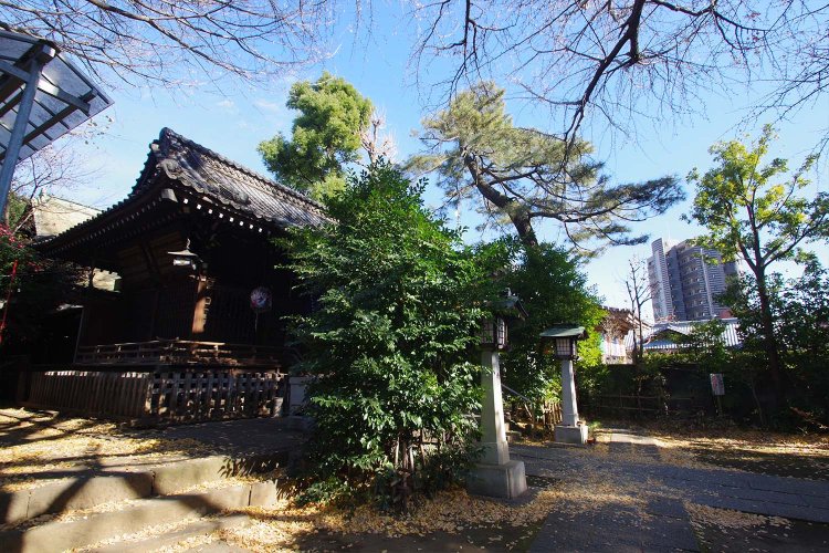 奥に高層マンションが見えつつも、近くには高い建物は少なく、空は広い。