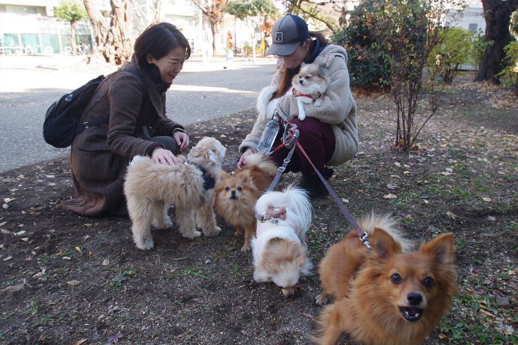 犬にとってもうれしい街なんだなあ。ホタテやイクラなど海鮮系の名前のワンコたち。