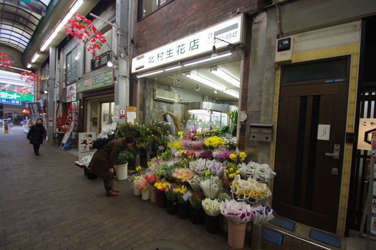 ラストはアーケードにある『北村生花店』へ。犬の散歩のお姉さんおススメで、この辺りの花好きはみんなお世話になっているという。苗もお安く手に入るそうだ。