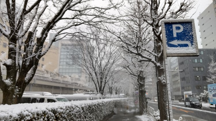 雪に弱い首都圏では大雪になるとダメージが大きくなる。