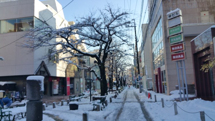 さまざまな気象条件が重なり、雪が降る。特に首都圏の雪の予想は難しい。