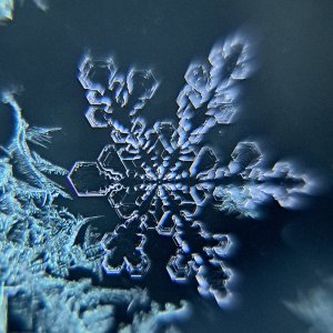 「気温が高めでも雪が降る？」「雪の結晶は100種類以上もある？」雪にまつわるディープな話